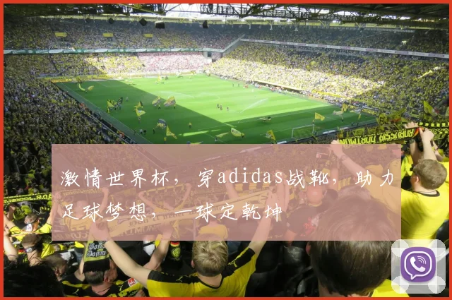 激情世界杯，穿adidas战靴，助力足球梦想，一球定乾坤