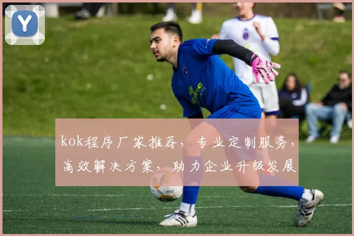 kok程序厂家推荐，专业定制服务，高效解决方案，助力企业升级发展，三重保障，值得信赖