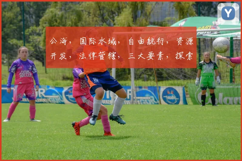 公海，国际水域，自由航行，资源开发，法律管辖，三大要素，探索奥秘。