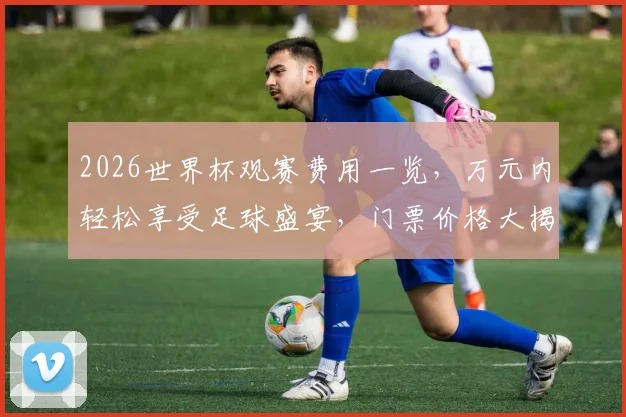 2026世界杯观赛费用一览，万元内轻松享受足球盛宴，门票价格大揭秘，错过等一年